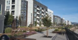 310 Riesling Ave, #32, Milpitas 95035