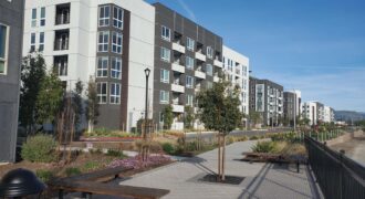 310 Riesling Ave, #32, Milpitas 95035